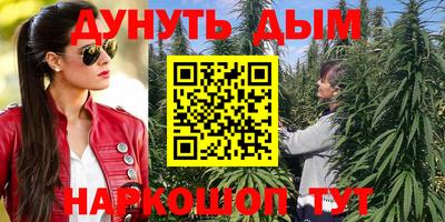 прущие грибы Апшеронск