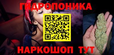 прущие грибы Аргун
