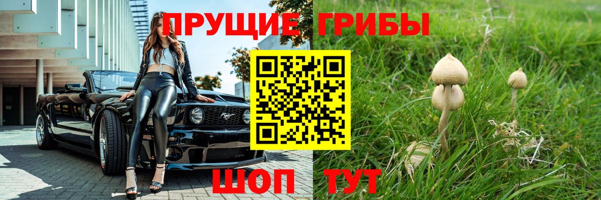 Галлюциногенные грибы Cubensis  Вход с VPN  Грязи  Галлюциногенные грибы Psilocybe 